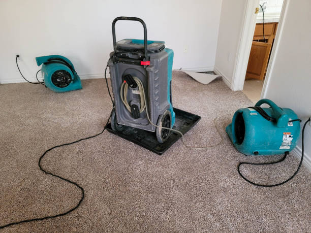 Best Mold removal after water damage  in Ridley Rk, PA