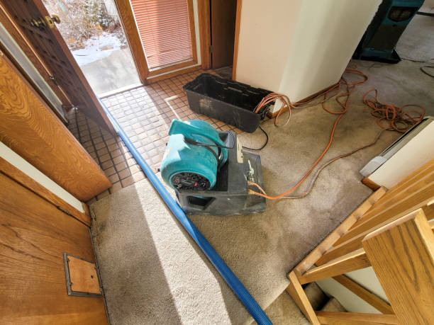 Best Basement water damage restoration  in Ridley Rk, PA