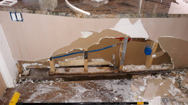 Best Mold removal after water damage  in Ridley Rk, PA