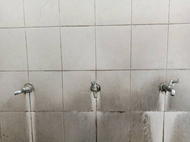 Best 24-hour water damage restoration  in Ridley Rk, PA