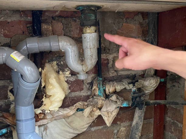 Best Flood damage cleanup  in Ridley Rk, PA