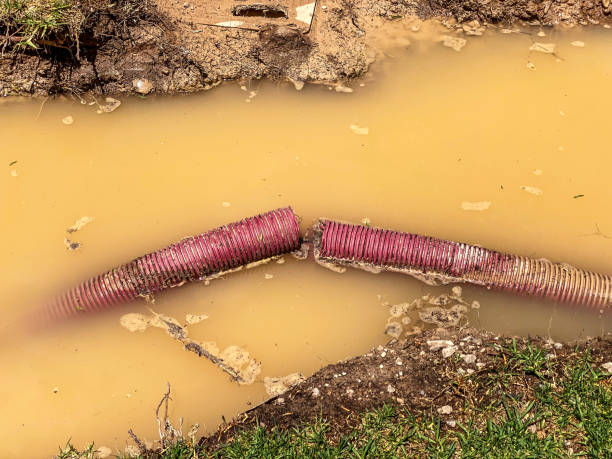 Best Local water damage restoration  in Ridley Rk, PA
