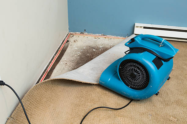 Best Flood damage cleanup  in Ridley Rk, PA